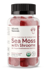 ATLANTIC NATURALS: Sea Moss With Shrooms 6 in 1 Gummy, 60 pc
