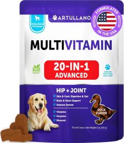 20 in 1 Dog Multivitamin with Glucosamine Chewable Dog Vitamins and Supplements Senior & Puppy Multivitamin Chews for Pet Hip & Joint Support Immunity