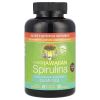 NUTREX: Hawaiian Spirulina Superfood Gummies, 60 pc