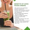 Macrolife MacRo Greens (1x10 Oz)
