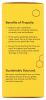 RECESS: Mood Power Lemon Citrus, 6.2 oz