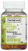 HERBALAND: Multivitamin Gummies For Kids Sugar Free, 90 pc